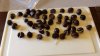 20170210_111519.jpeg