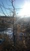 20170214_082751.jpg