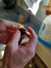Resized_20170225_100333.jpeg