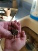 Resized_20170225_100338.jpeg