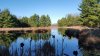 2015 - Beaver Pond 2.jpg