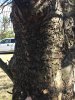 IMG_6471.JPG