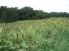 100_3089.JPG