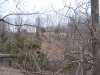 100_2724.JPG