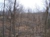 100_2725.JPG