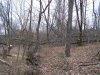 100_2728.JPG