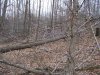 100_2729.JPG