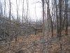 100_2730.JPG