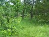 100_2788.JPG