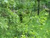 100_2789.JPG