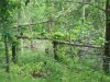 100_2790.JPG