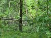 100_2791.JPG
