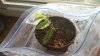 20170319_082052.jpg