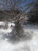 IMG_20170321_124338.jpg