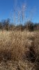 20170307_095631_resized.jpg