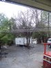 apple tree's 001.JPG