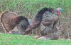 X Rated 2012-12-22 at 2.49.52 PM.jpg