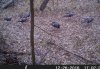 HUNT0415.jpg