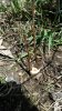 20170407_130720_resized.jpg 20170407_130720_resized.jpg