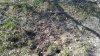 20170408_165926.jpg