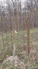 20170411_141946.jpg