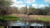 blue heron.jpg