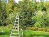 DSCN1244.JPG