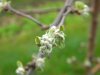 DSCN3589.JPG