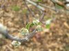 DSCN3588.JPG