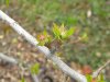 DSCN3586.JPG
