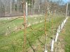 DSCN3572.JPG