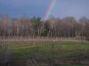 DSCN3561.JPG
