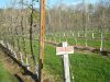 DSCN3595.JPG