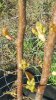 20170424_074416.jpg