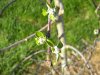 DSCN3597.JPG