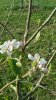 20170424_074301.jpg