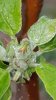 20170426_082159.jpg