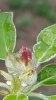 20170426_082218.jpg