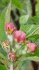 20170426_082235.jpg
