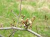 DSCN3601.JPG