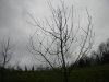 DSCN3606.JPG