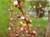 DSCN3629.JPG