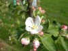 DSCN3645.JPG