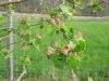 DSCN3637.JPG