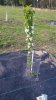 20170429_192651.jpg