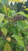 20170511_191444.jpg