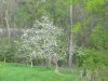 DSCN3723.JPG