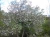 DSCN3720.JPG