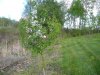 DSCN3722.JPG