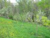 DSCN3725.JPG